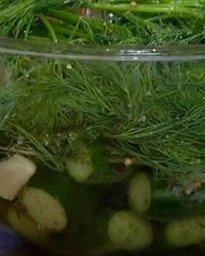 Маринованные огурцы