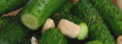 маринованные огурцы. Шаг 2