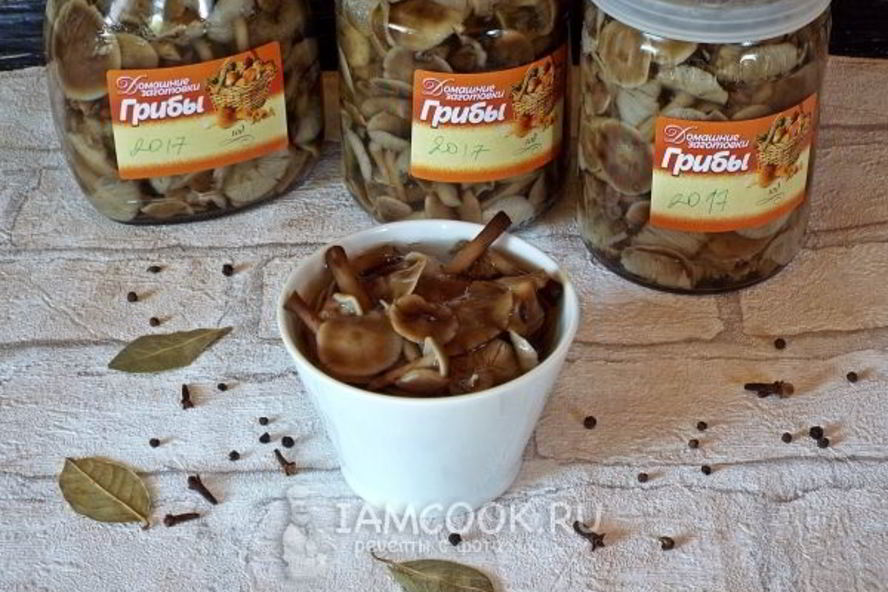 Рецепт маринованные опята бабушкины