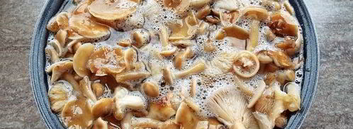 маринованные опята бабушкины. Шаг 8