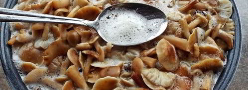 маринованные опята бабушкины. Шаг 9