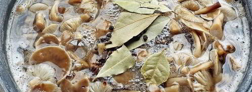 маринованные опята бабушкины. Шаг 11