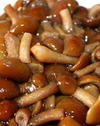 Маринованные опята в мультиварке