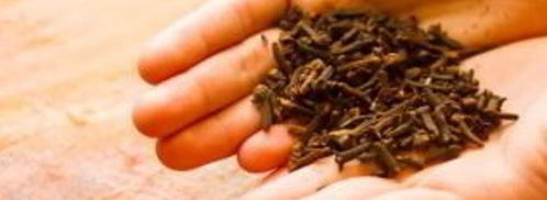 маринованные соленые лимоны. Шаг 5