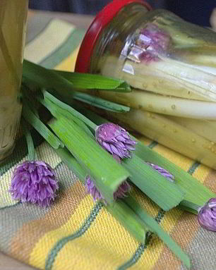 Молодой чеснок маринованный