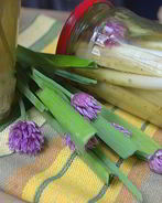 Молодой чеснок маринованный