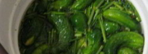 острые огурчики на зиму. Шаг 3