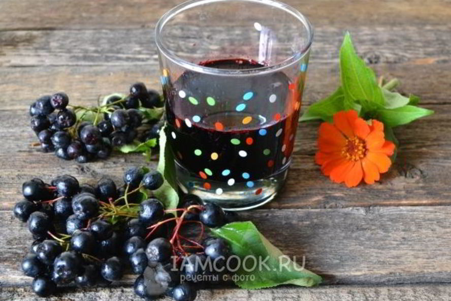 Рецепт сок из черноплодной рябины на зиму