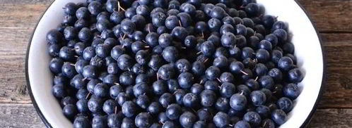 сок из черноплодной рябины на зиму. Шаг 7