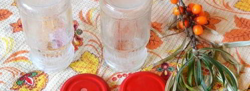 сок из облепихи на зиму через соковыжималку. Шаг 9