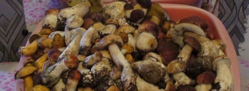 грибы соленые домашние. Шаг 8