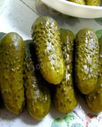 Малосольные огурцы быстрой засолки