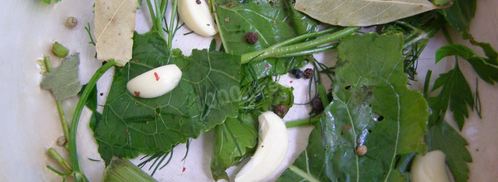 малосольные огурцы быстрой засолки. Шаг 4