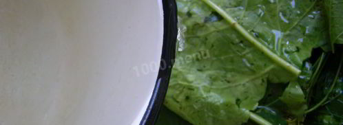 малосольные огурцы быстрой засолки. Шаг 6