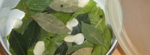 малосольные огурцы к обеду. Шаг 4