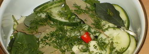 малосольные огурцы к обеду. Шаг 6