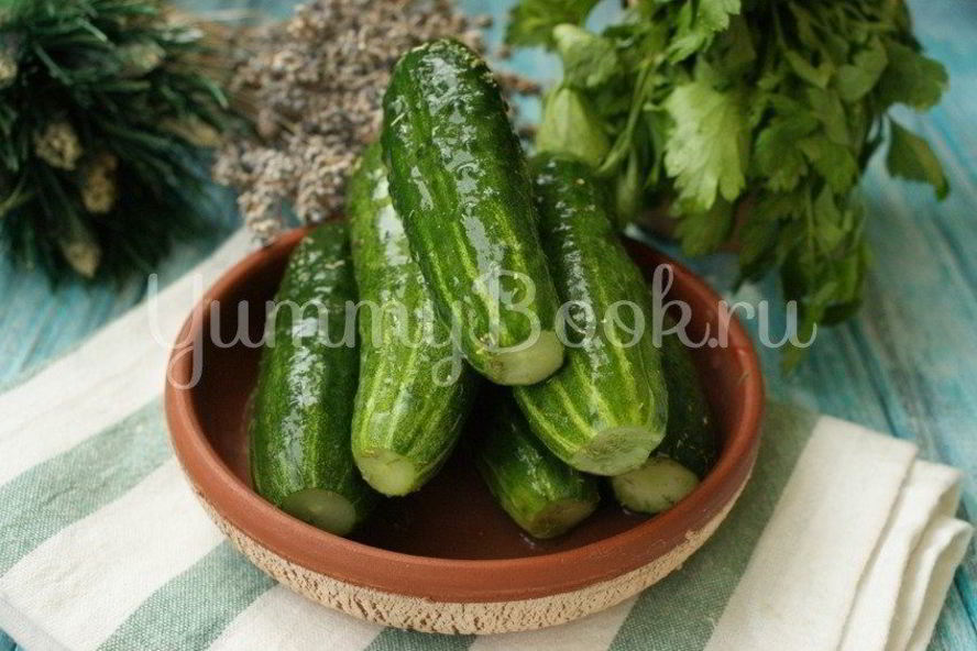 Рецепт малосольные огурцы на минеральной воде