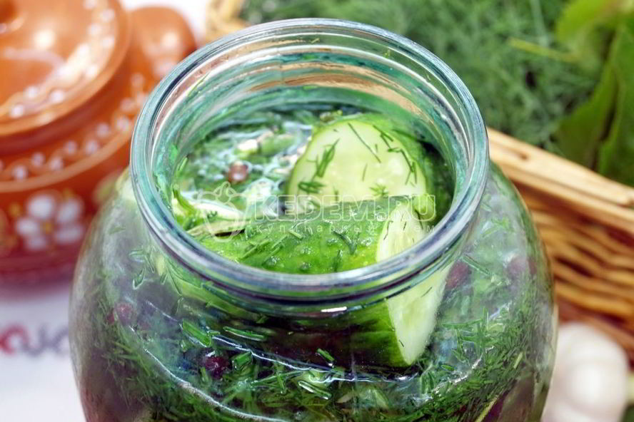Рецепт малосольные огурцы в банке