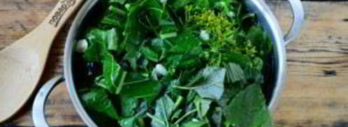 малосольные огурцы за сутки. Шаг 8