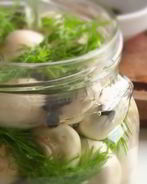 Малосольные шампиньоны