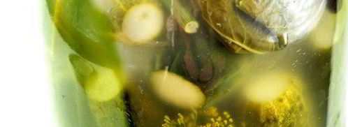 огурцы малосольные. Шаг 5