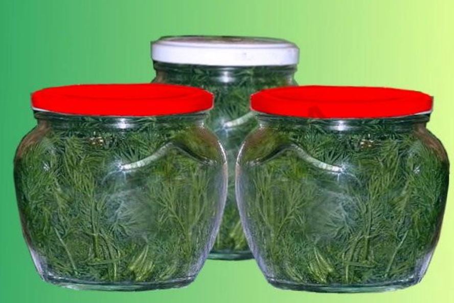 Рецепт свежий укроп в банках