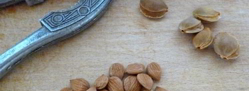 абрикосовое варенье с какао и сливочным маслом. Шаг 4