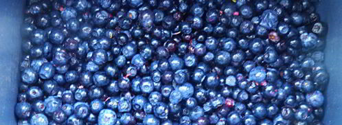 черничное варенье. Шаг 2