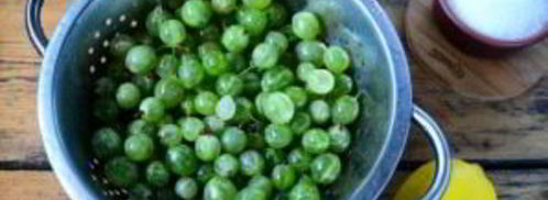 варенье из крыжовника с лимоном на зиму. Шаг 2