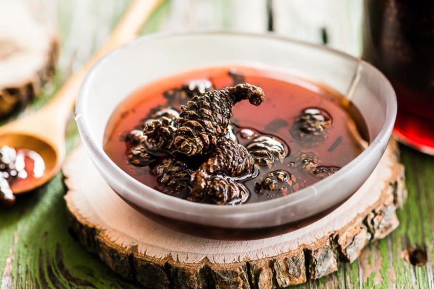 Рецепт варенье из сосновых шишек