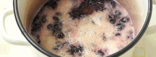 варенье из терна без косточек пятиминутка. Шаг 7