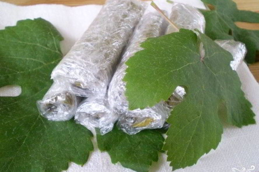 Рецепт виноградные листья на зиму