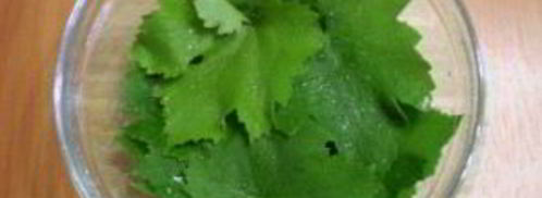 виноградные листья на зиму. Шаг 2