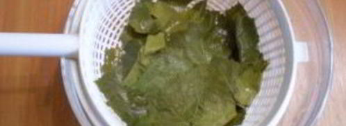 виноградные листья на зиму. Шаг 4