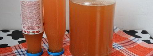 яблочный сок без сахара на зиму. Шаг 10