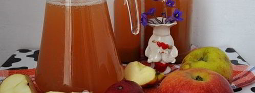 яблочный сок без сахара на зиму. Шаг 12