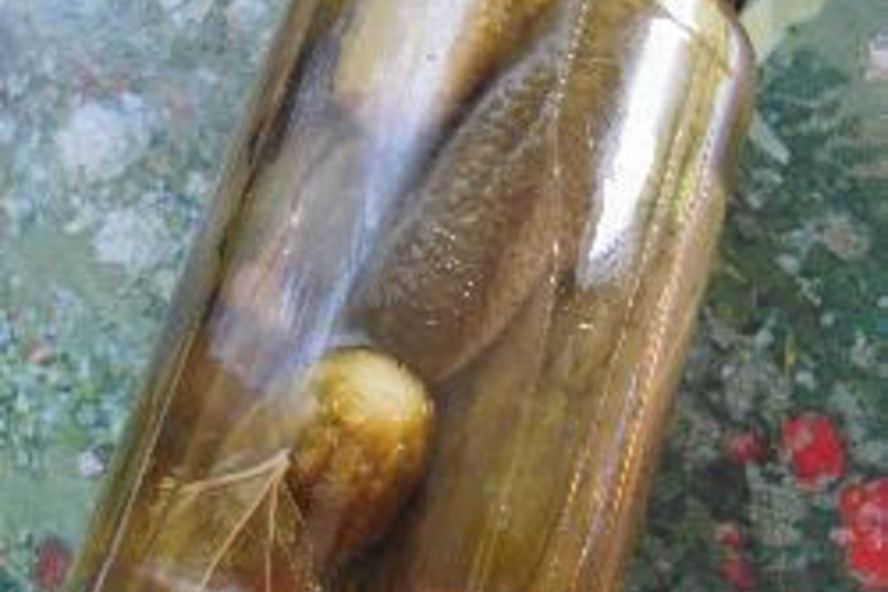 Рецепт заготовки из огурцов и кабачков с лимонной кислотой