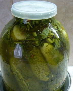 Засолка огурцов в банках