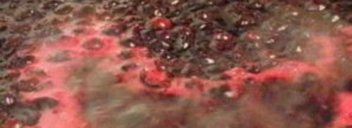 желе из черной смородины на зиму. Шаг 3