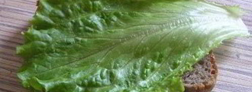 брускетта с грибами. Шаг 6