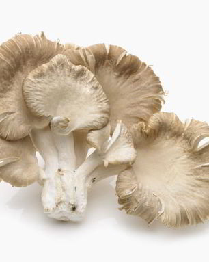 Икра из вешенок