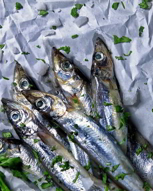 Мойва пряного посола