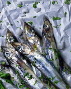 Мойва пряного посола