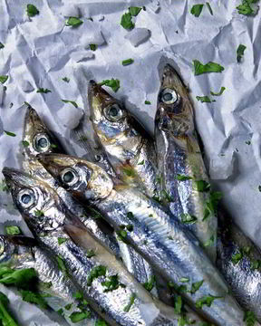 Мойва пряного посола