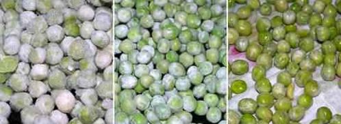 фриттата с зеленым горошком, ветчиной и луком. Шаг 15