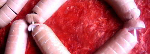 омлетный цветочек под сыром джюгас. Шаг 5