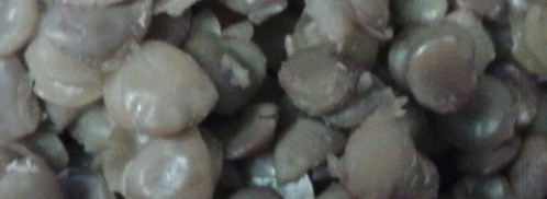 паштет из чечевицы с кешью и черносливом. Шаг 2