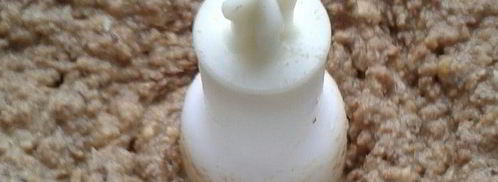 паштет из чечевицы с кешью и черносливом. Шаг 4