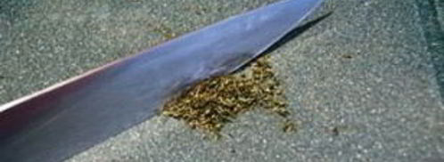 паштет из индейки с рукколой. Шаг 3