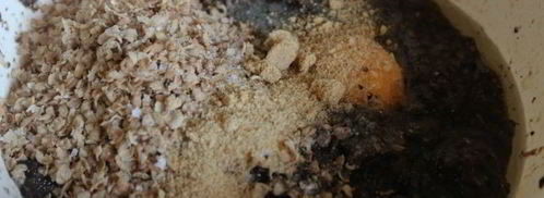 паштет из лесных грибов с гречневыми хлопьями. Шаг 3